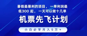（11204期）2024最新项目，冷门暴利，整个暑假都是高爆发期，一单利润300+，二十…-黑斯坦丁项目网