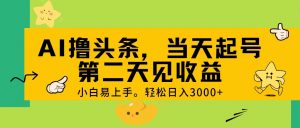 （11314期） AI撸头条，轻松日入3000+，当天起号，第二天见收益。-黑斯坦丁项目网