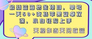 （11287期）最新蓝海撸金项目，单号一天50+， 支持苹果安卓双端，小白轻松上手 当…-黑斯坦丁项目网