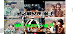 (11546期)全网爆火的AI让老照片动起来教程,蹭热点日赚3000+,内含免费工具一键…-黑斯坦丁项目网