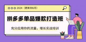 （11556期）2024拼多多-单品爆款打造班(更新6月)，充分应用你的流量，增长实战培训-黑斯坦丁项目网