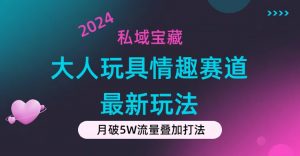 （11541期）私域宝藏：大人玩具情趣赛道合规新玩法，零投入，私域超高流量成单率高-黑斯坦丁项目网