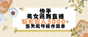 （11565期）快手美女跳舞直播，轻松日入3000+简单无脑-黑斯坦丁项目网