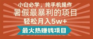 （11583期）小白必学，纯手机操作，暑假最暴利的项目轻松月入5w+最火热赚钱项目-黑斯坦丁项目网