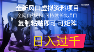 (11587期)全新风口虚拟资料项目 全网自然引流可持续长久项目 复制粘贴即可可矩阵…-黑斯坦丁项目网