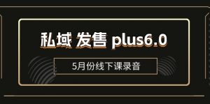 （11612期）私域 发售 plus6.0【5月份线下课录音】/全域套装 sop流程包，社群发售…-黑斯坦丁项目网