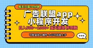 （11645期）小程序开发 广告赚钱 日入500~1000+ 小白轻松上手！-黑斯坦丁项目网