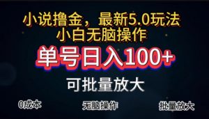 （11651期）全自动小说撸金，单号日入100+小白轻松上手，无脑操作-黑斯坦丁项目网