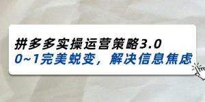 (11658期)2024_2025拼多多实操运营策略3.0,0~1完美蜕变,解决信息焦虑(38节)-黑斯坦丁项目网
