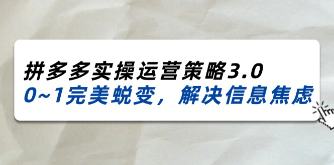 (11658期)2024_2025拼多多实操运营策略3.0,0~1完美蜕变,解决信息焦虑(38节)-黑斯坦丁项目网