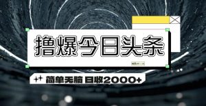 （11665期）撸爆今日头条 简单无脑操作 日收2000+-黑斯坦丁项目网