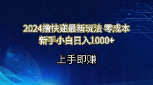 (11680期)2024撸快递最新玩法零成本新手小白日入1000+-黑斯坦丁项目网