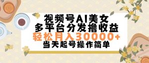 （11684期）视频号AI美女，轻松月入30000+,操作简单轻松上手-黑斯坦丁项目网