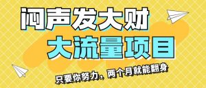 （11688期）闷声发大财，大流量项目，月收益过3万，只要你努力，两个月就能翻身-黑斯坦丁项目网