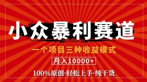 （11695期）视频号【中老年粉深信不疑】小众赛道 100%原创 手把手教学 新号3天收益…-黑斯坦丁项目网