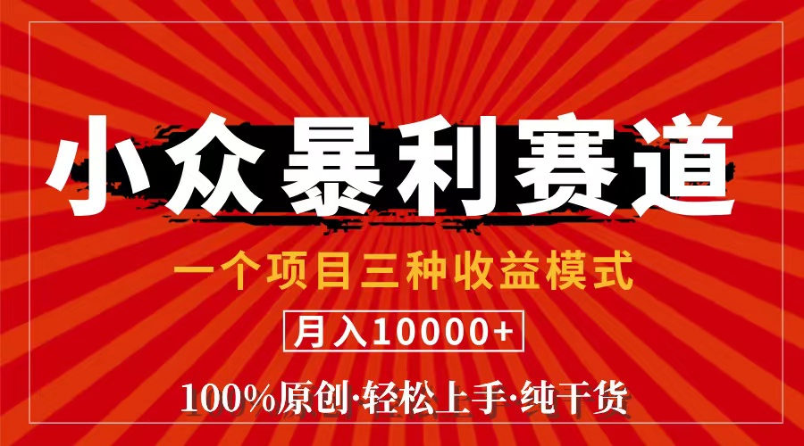 （11695期）视频号【中老年粉深信不疑】小众赛道 100%原创 手把手教学 新号3天收益…-黑斯坦丁项目网