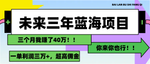 （11716期）未来三年，蓝海赛道，月入3万+-黑斯坦丁项目网