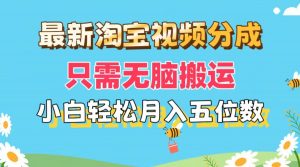 (11744期)最新淘宝视频分成,只需无脑搬运,小白也能轻松月入五位数,可矩阵批量…-黑斯坦丁项目网