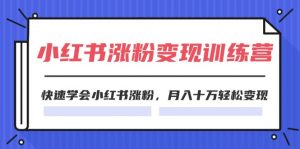 （11762期）2024小红书涨粉变现训练营，快速学会小红书涨粉，月入十万轻松变现(40节)-黑斯坦丁项目网