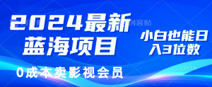 （11894期）2024最新蓝海项目，0成本卖影视会员，小白也能日入3位数-黑斯坦丁项目网