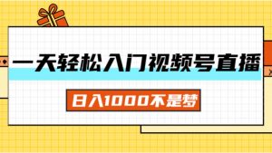 （11906期）一天入门视频号直播带货，日入1000不是梦-黑斯坦丁项目网