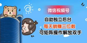 （11910期）微信视频号自助独立后台每天躺赚三位数可矩阵操作解放双手-黑斯坦丁项目网