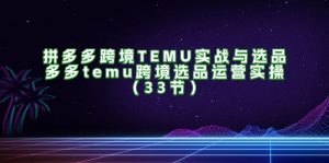 （11934期）拼多多跨境TEMU实战与选品，多多temu跨境选品运营实操（33节）-黑斯坦丁项目网
