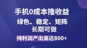 （11976期）纯利润高达800+，手机0成本撸羊毛，项目纯绿色，可稳定长期操作！-黑斯坦丁项目网