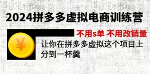 (12024期)2024拼多多虚拟电商训练营 不s单 不改销量 做虚拟项目分一杯羹(更新10节)-黑斯坦丁项目网
