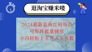 （12033期）2024淘宝蓝海红利项目，无脑搬运操作简单，小白轻松月入五位数，可矩阵…-黑斯坦丁项目网