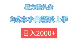 （12068期）暴力撸头条，0成本小白轻松上手，日入2000+-黑斯坦丁项目网