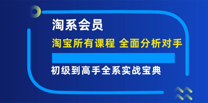 (12055期)淘系会员【淘宝所有课程,全面分析对手】,初级到高手全系实战宝典-黑斯坦丁项目网