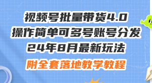 (12093期)24年8月最新玩法视频号批量带货4.0,操作简单可多号账号分发,附全套落…-黑斯坦丁项目网