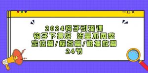 （12097期）2024钩子·引流课：钩子下得好 流量不再愁，定位篇/标签篇/破播放篇/24节-黑斯坦丁项目网