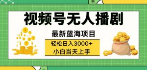 （12128期）视频号无人播剧，轻松日入3000+，最新蓝海项目，拉爆流量收益，多种变…-黑斯坦丁项目网