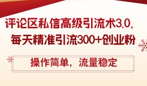（12145期）评论区私信高级引流术3.0，每天精准引流300+创业粉，操作简单，流量稳定-黑斯坦丁项目网