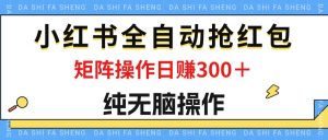 （12151期）最新小红书全自动抢红包，单号一天50＋  矩阵操作日入300＋，纯无脑操作-黑斯坦丁项目网