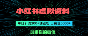 (12164期)小红书虚拟资料日引流200+创业粉,单日变现5000+-黑斯坦丁项目网