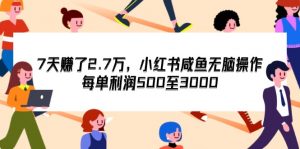 （12192期）7天收了2.7万，小红书咸鱼无脑操作，每单利润500至3000-黑斯坦丁项目网