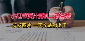 (12228期)小红书卖计算机二级合集,发发图片 一天收益能上千-黑斯坦丁项目网