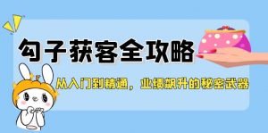 (12247期)从入门到精通,勾子获客全攻略,业绩飙升的秘密武器-黑斯坦丁项目网