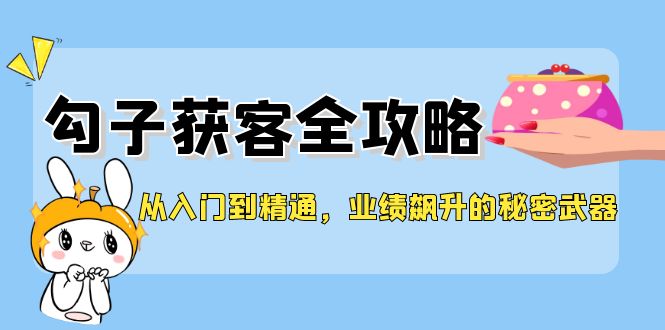 (12247期)从入门到精通,勾子获客全攻略,业绩飙升的秘密武器-黑斯坦丁项目网