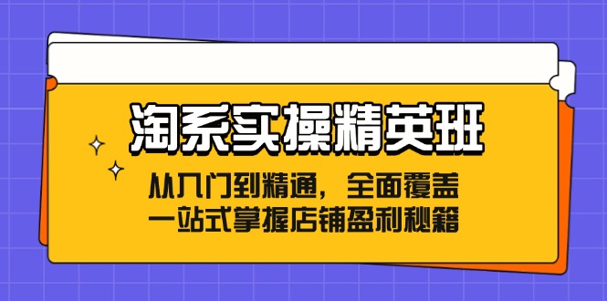(12276期)淘系实操精英班:从入门到精通,全面覆盖,一站式掌握店铺盈利秘籍-黑斯坦丁项目网