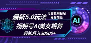 （12284期）视频号5.0最新玩法，AI美女跳舞，轻松月入30000+-黑斯坦丁项目网