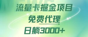 （12321期）流量卡掘金代理，日躺赚3000+，变现暴力，多种推广途径-黑斯坦丁项目网