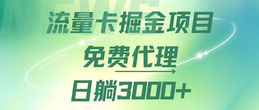 （12321期）流量卡掘金代理，日躺赚3000+，变现暴力，多种推广途径-黑斯坦丁项目网