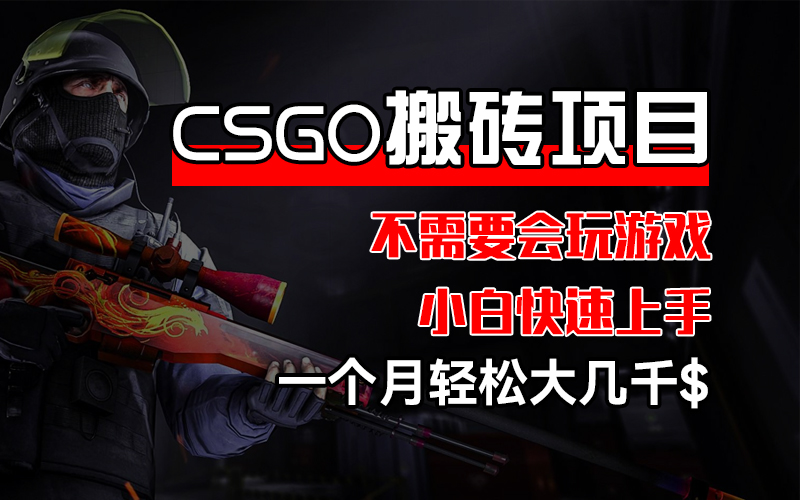 （12332期）CSGO 装备搬砖项目，操作简单，不需要会玩游戏，小白也能快速上手，一…-黑斯坦丁项目网