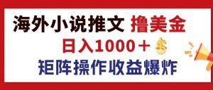 （12333期）最新海外小说推文撸美金，日入1000＋ 蓝海市场，矩阵放大收益爆炸-黑斯坦丁项目网