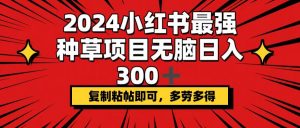 （12336期）2024小红书最强种草项目，无脑日入300+，复制粘帖即可，多劳多得-黑斯坦丁项目网