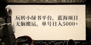 （12366期）玩转小绿书平台，蓝海项目，无脑搬运，单号日入5000+-黑斯坦丁项目网